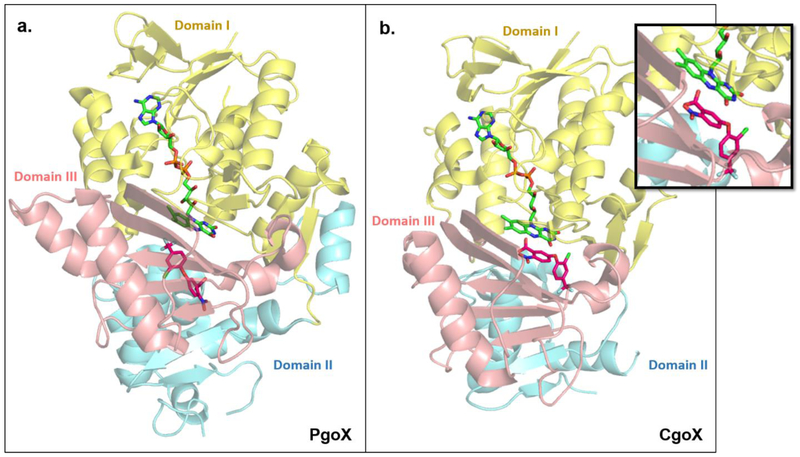 Figure 4.