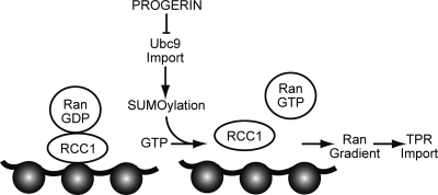 Fig. 14.