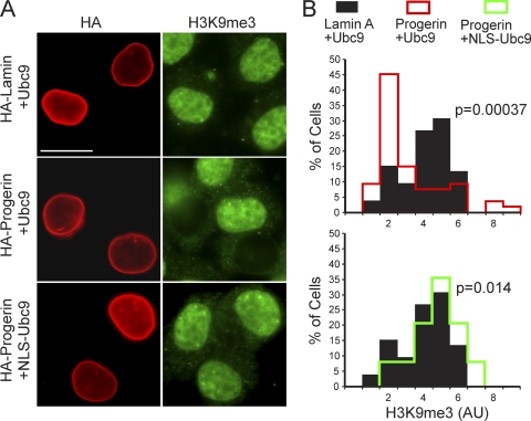 Fig. 11.