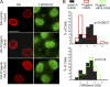 Fig. 11.