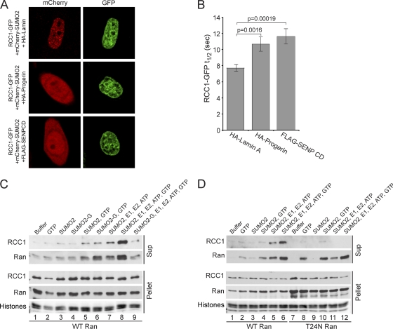 Fig. 13.