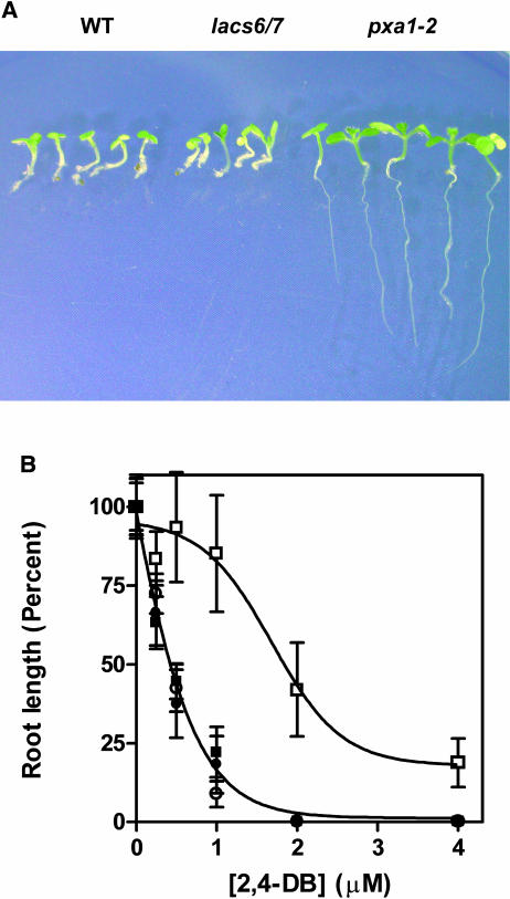 Figure 7.