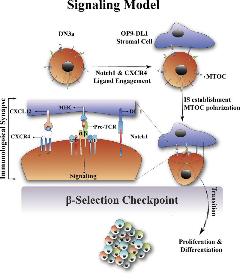 Figure 10.