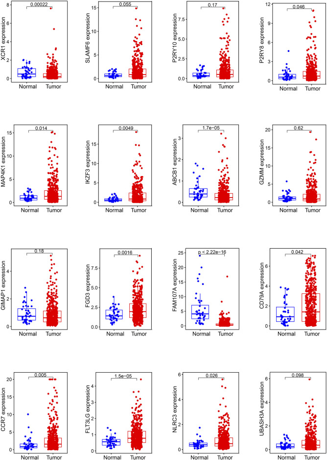 FIGURE 6