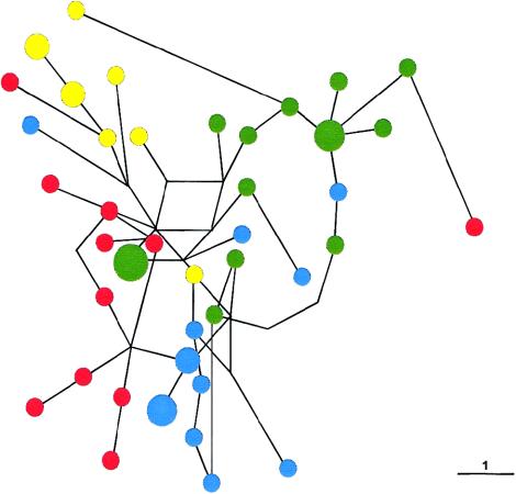 Figure  4