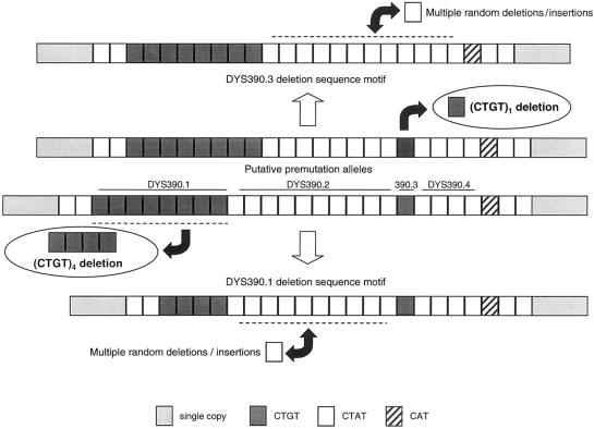 Figure  3