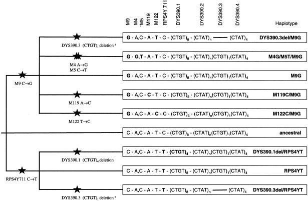 Figure  2