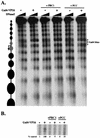 FIG. 7.