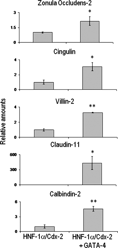 Fig. 10.