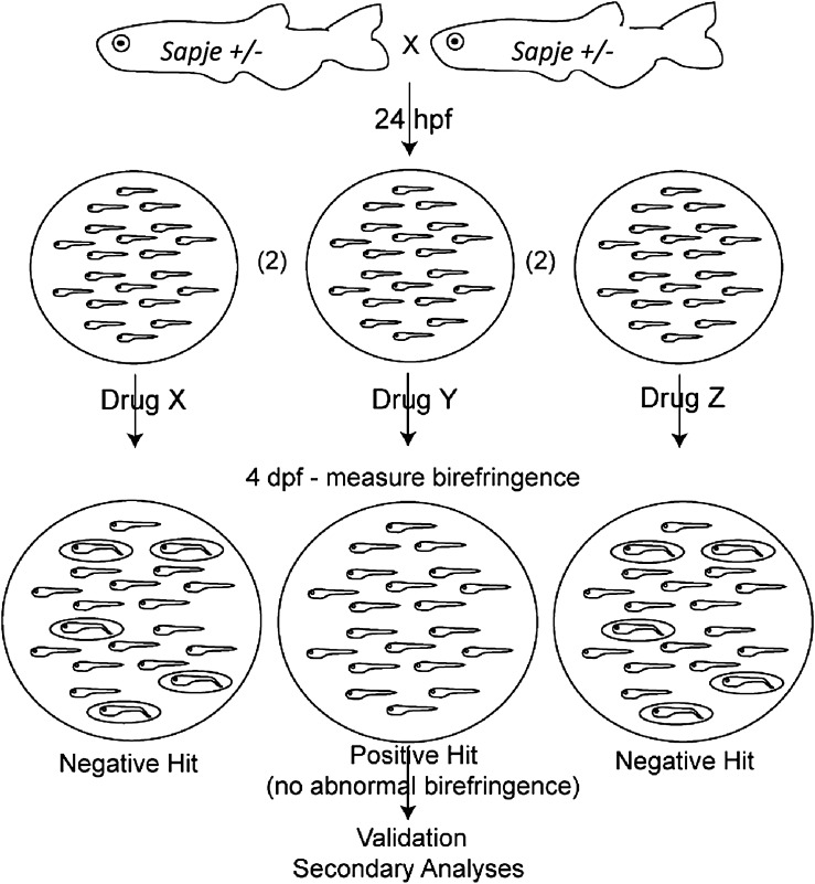 Figure 1.