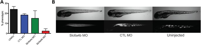 Figure 4.