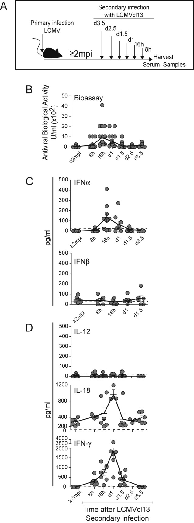 FIG 3 