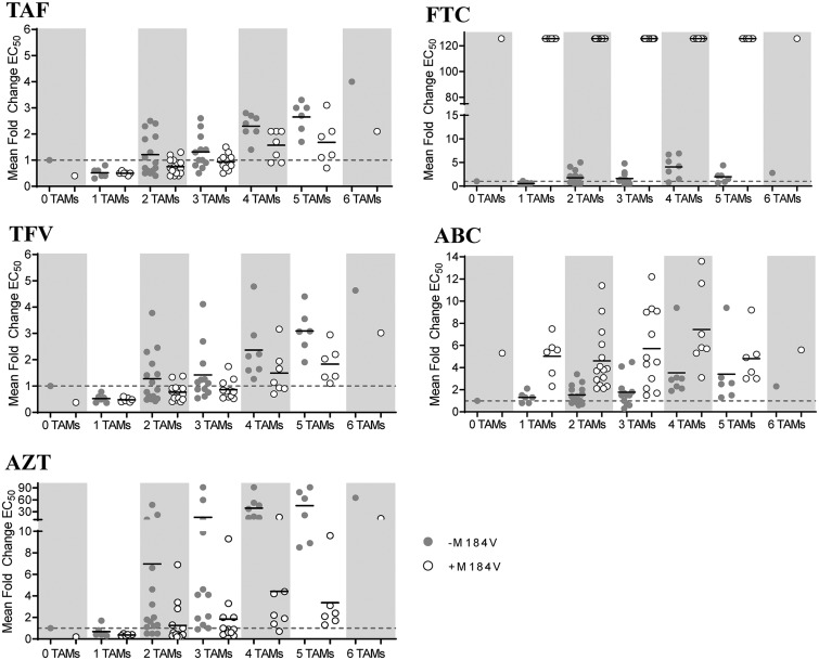 FIG 3