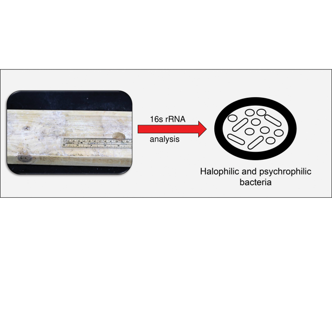 graphic file with name fx1.jpg