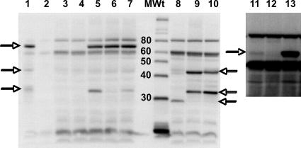 FIG. 6.