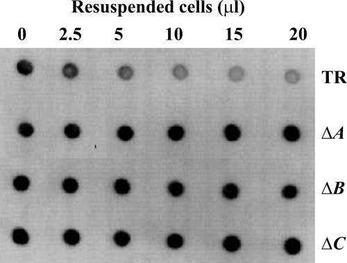 FIG. 3.