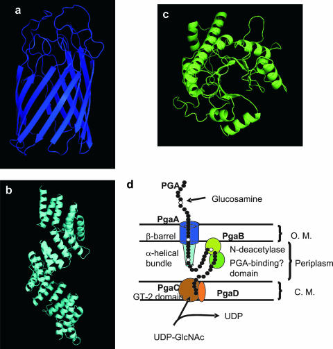 FIG. 7.