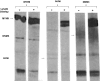 FIG. 8.