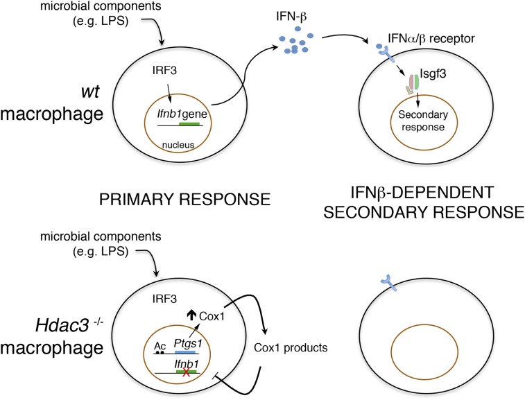 Fig. P1.