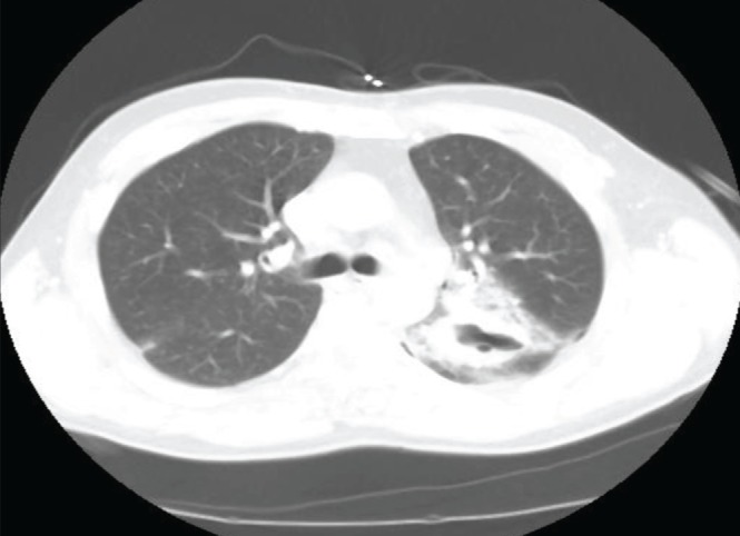 Figure 1)
