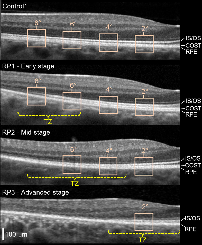 Fig. 2.