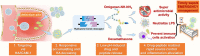 Image, graphical abstract