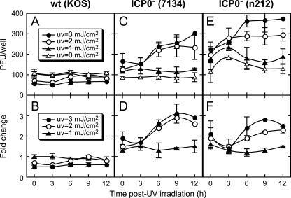 FIG. 3.