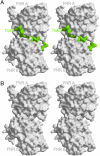 Fig. 3.