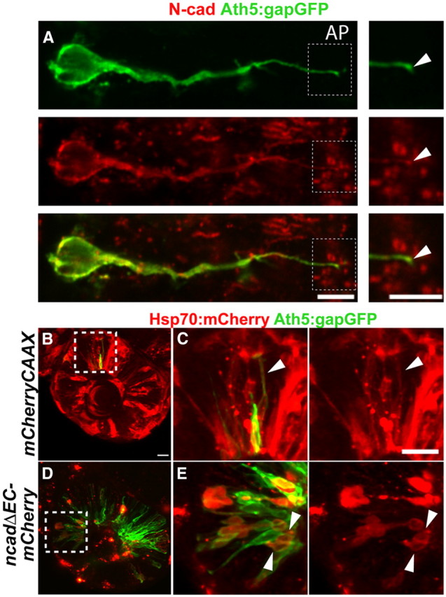 Figure 3.