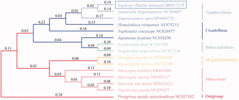 Figure 1.