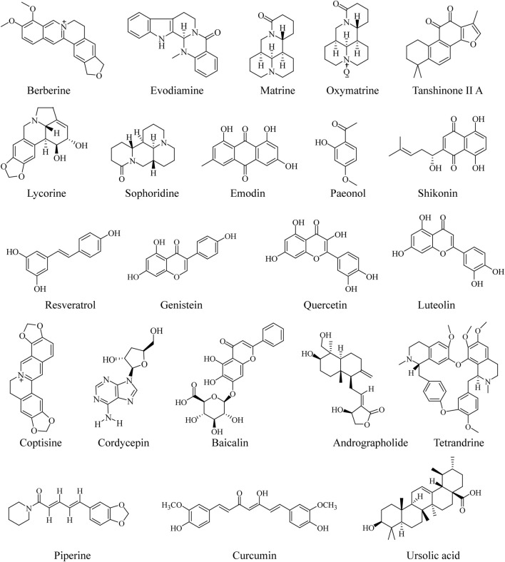 FIGURE 1