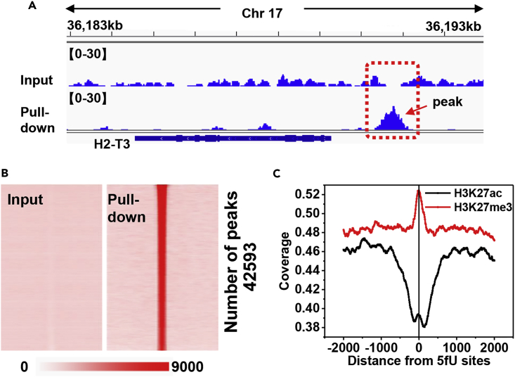 Figure 4