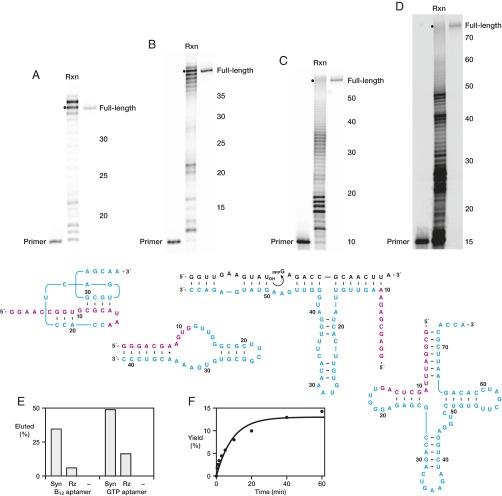 Fig. 3.