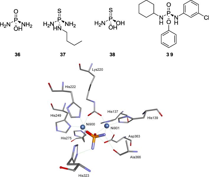 Fig. 13