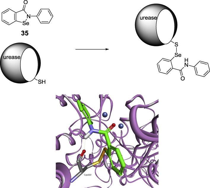 Fig. 12