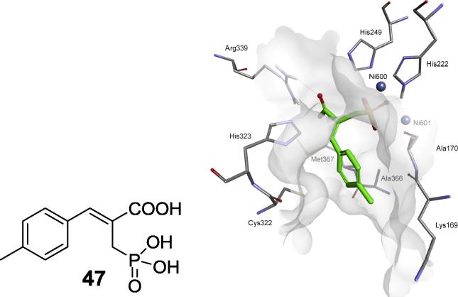 Fig. 15