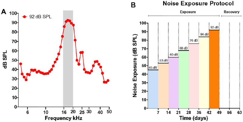 Figure 1: