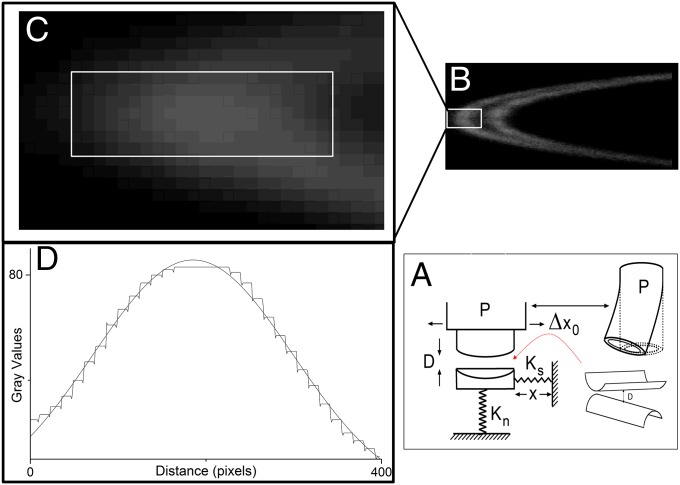 Fig. 6.