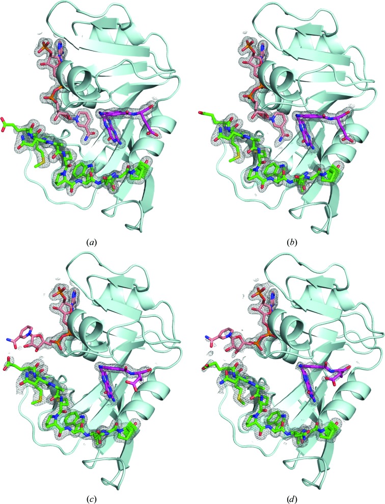 Figure 5