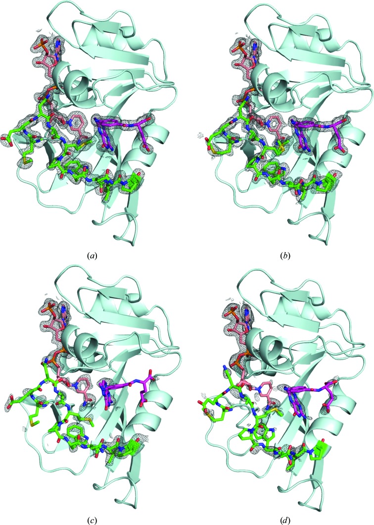 Figure 4