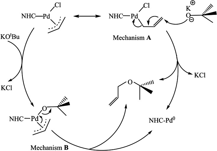 Scheme 8