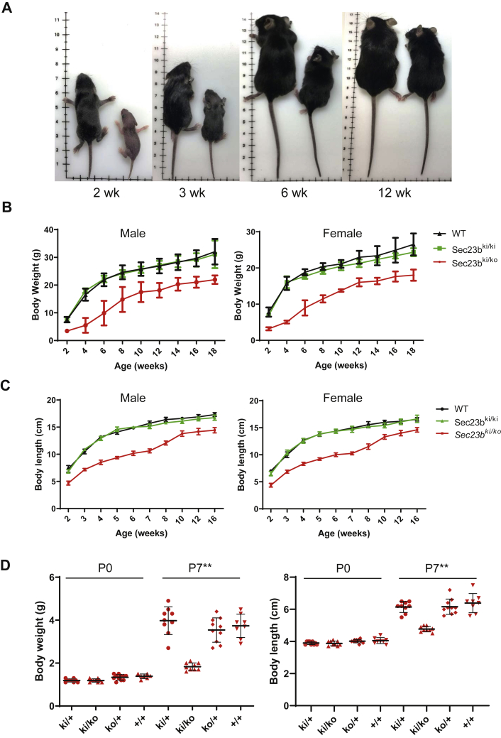 Figure 3