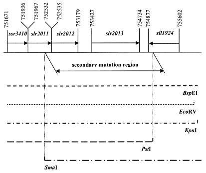 FIG. 5.