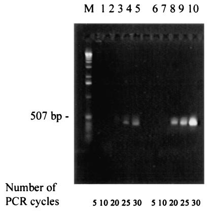 FIG. 6.