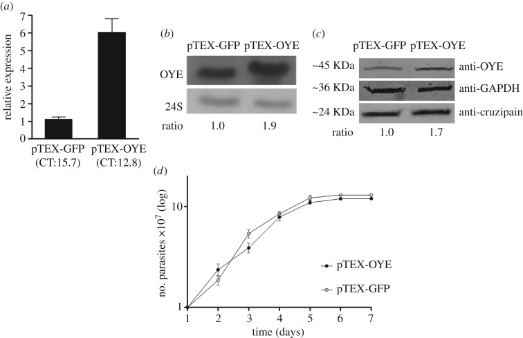 Figure 1.