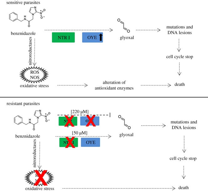 Figure 6.