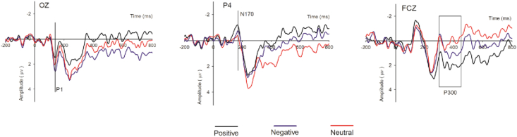 Figure 3