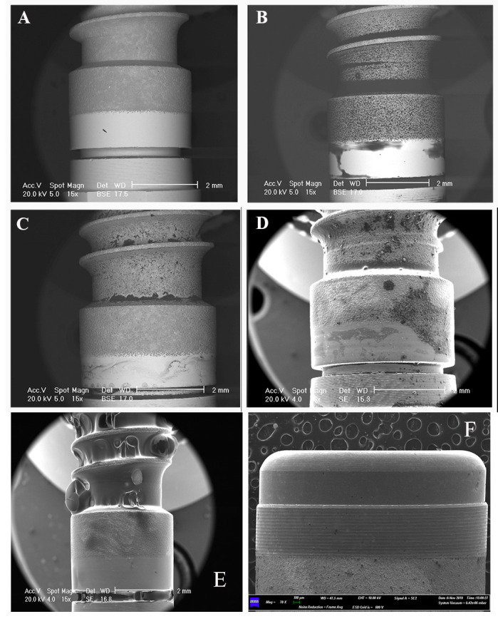  Figure 2. 