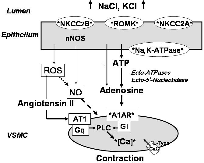 Fig. 5