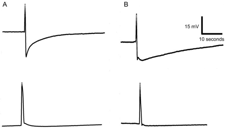 Figure 8